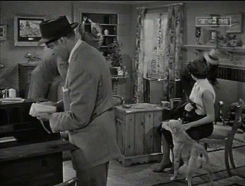 Loophole, Harold Schuster, 1954