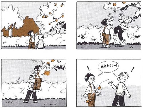 Comment rédiger ? 15. Les fruits