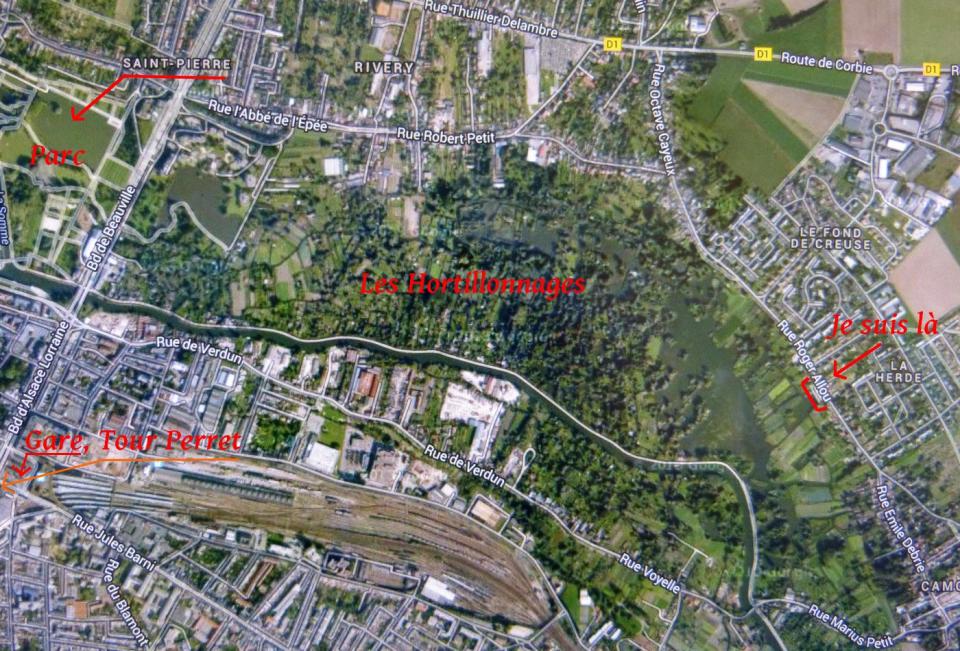 Plongée en verdure profonde 