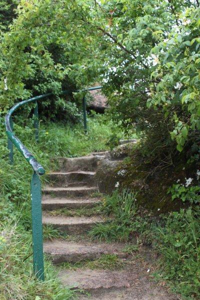 A Trégastel (29)