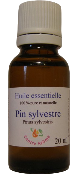 Vertus médicinales des arbres : Pin Sylvestre