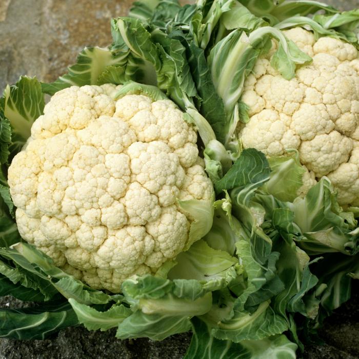 Légumes et fruits du mois de Janvier
