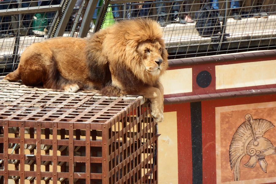 Le signe du triomphe au puy du fou 