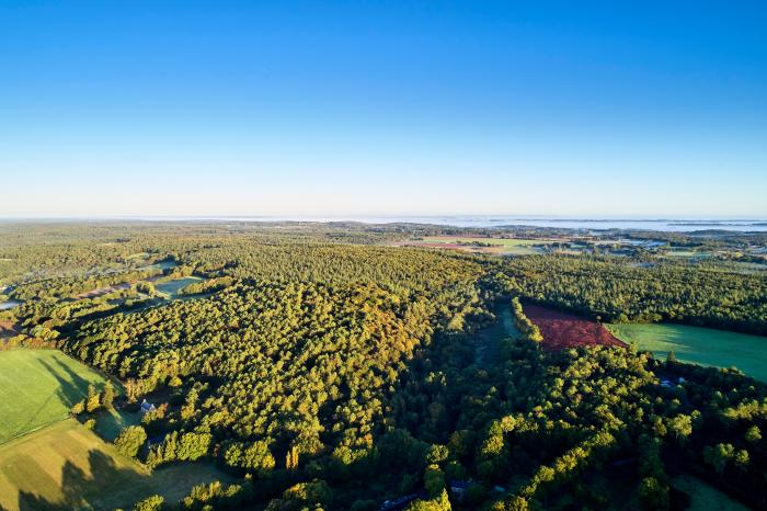 Département du Morbihan