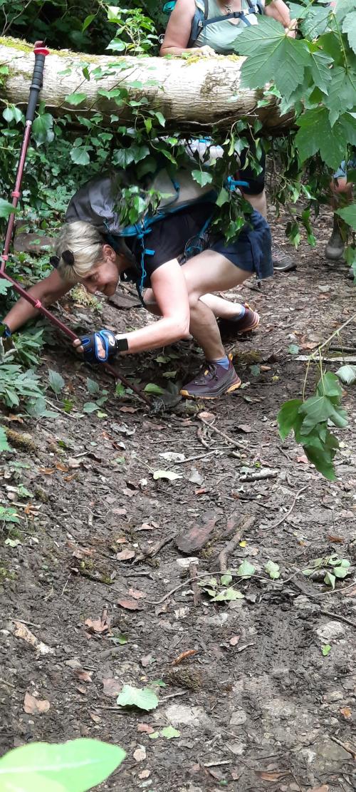 "Les Anis" Partie 2 - Samedi 13 juillet 2024