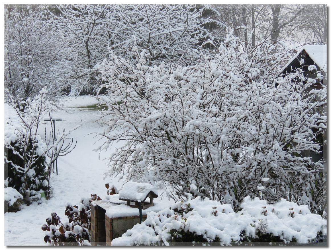 PREMIERES  NEIGE  EN  PLAINE  SAVOYARDE  2020