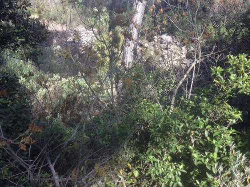 Grande ruine du Vallon aveugle à Aix