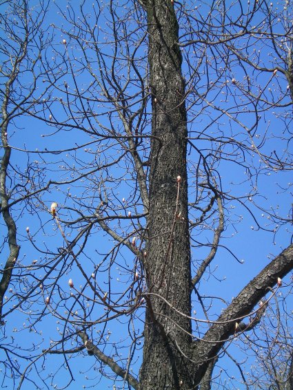 image03.jpg