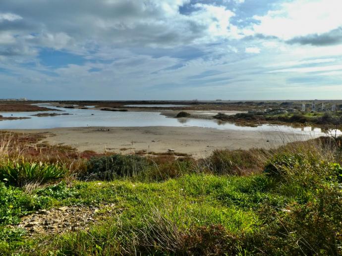 Peut être une image de étendue d’eau et nature