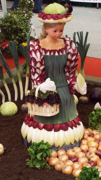 endives ...