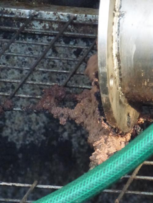 De l'arbre à l'assiette...