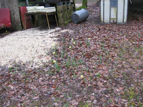 "Mercredi, ah j'ai foot et rando !!!" - Mercredi 28 mars 2018