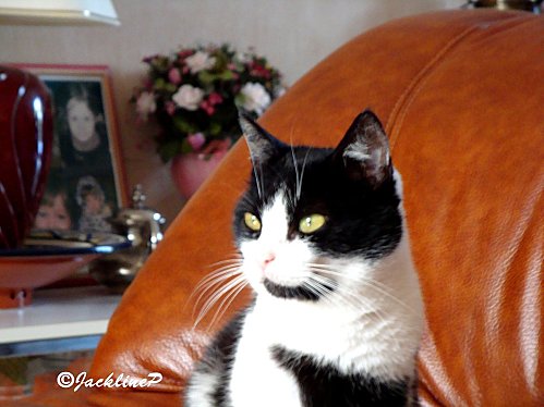 Dsc02931marq