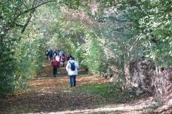 La randonnée du 6 novembre à Creully