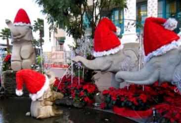 Joyeux Noël monde entier, l'Isan, nord-est Thaïlande