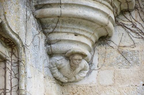 Quelques images du château de Rochefort à Asnières en montagne