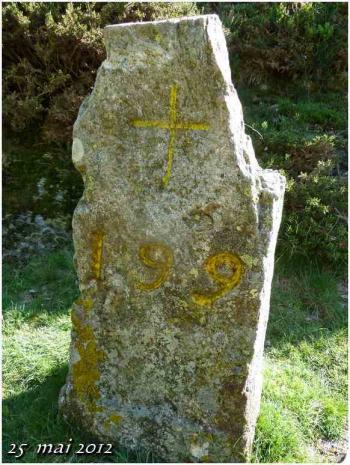 (J51) Roncesvalles /Orisson 25 mai 2012