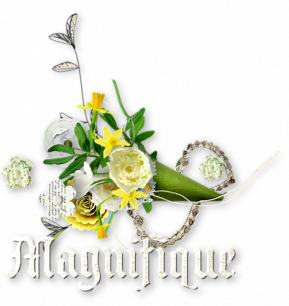 ⊱♥⊱╮ღ꧁  Beau et Incroyable ꧂ღ ⊱♥≺