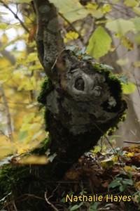 La Page de Nathalie Hayes