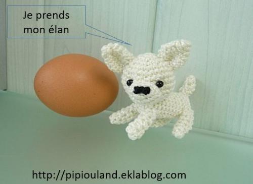  En amigurumi  : Pepsi le Chihuahua