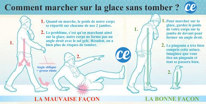 marher comme un pingouin