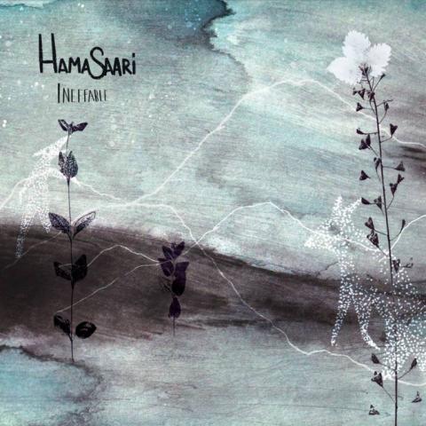 HAMASAARI - "White Pinnacles" Clip