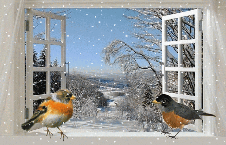 4QrV11t94K3r029a2-FEAbvkYBQ@745x481.gif