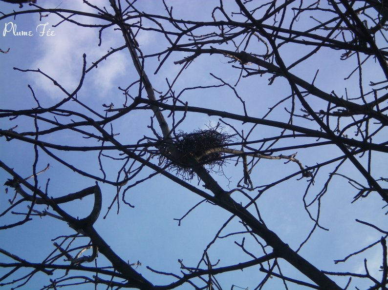 Image012.jpg