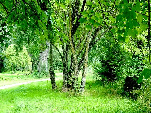 Le long de la Moselle 15 Marc de Metz 2012