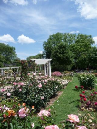 Un dimanche au parc  ... 