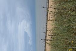 La randonnée du 8 septembre à Courseulles