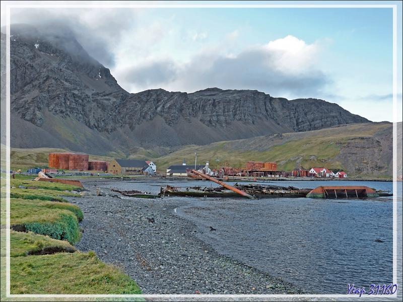 L'ombre a envahi Grytviken, accentuant le sinistre de ces lieux où des milliers et des milliers de baleines, autres mammifères marins et oiseaux ont fini dans ces fours à huile - Géorgie du Sud