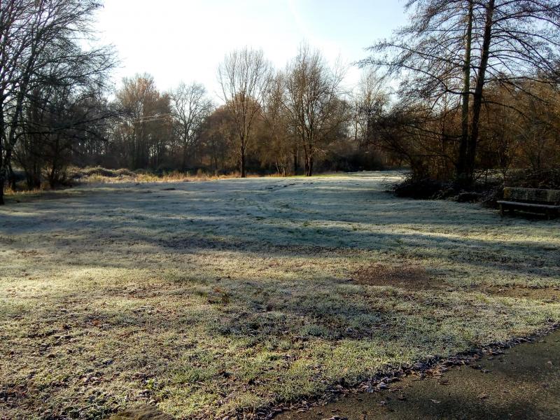 ce matin balade en ce samedi