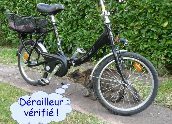 Le vélo