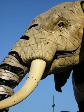 l__l_phant_machinerie_de_Nantes_009