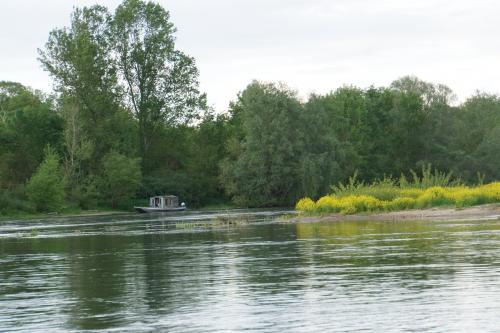 Un petit tour sur la Loire