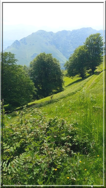 924 - Suite25 : -Notre Chemin vers St Jacques de Compostelle à travers ses anecdotes-