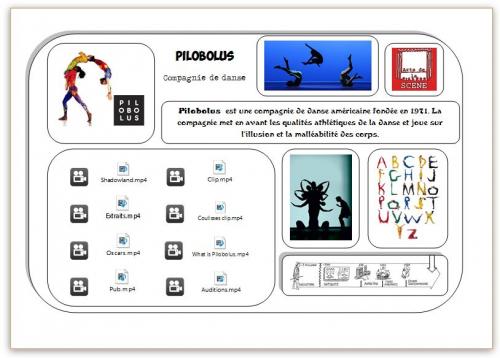 Carte Hda Pilobolus