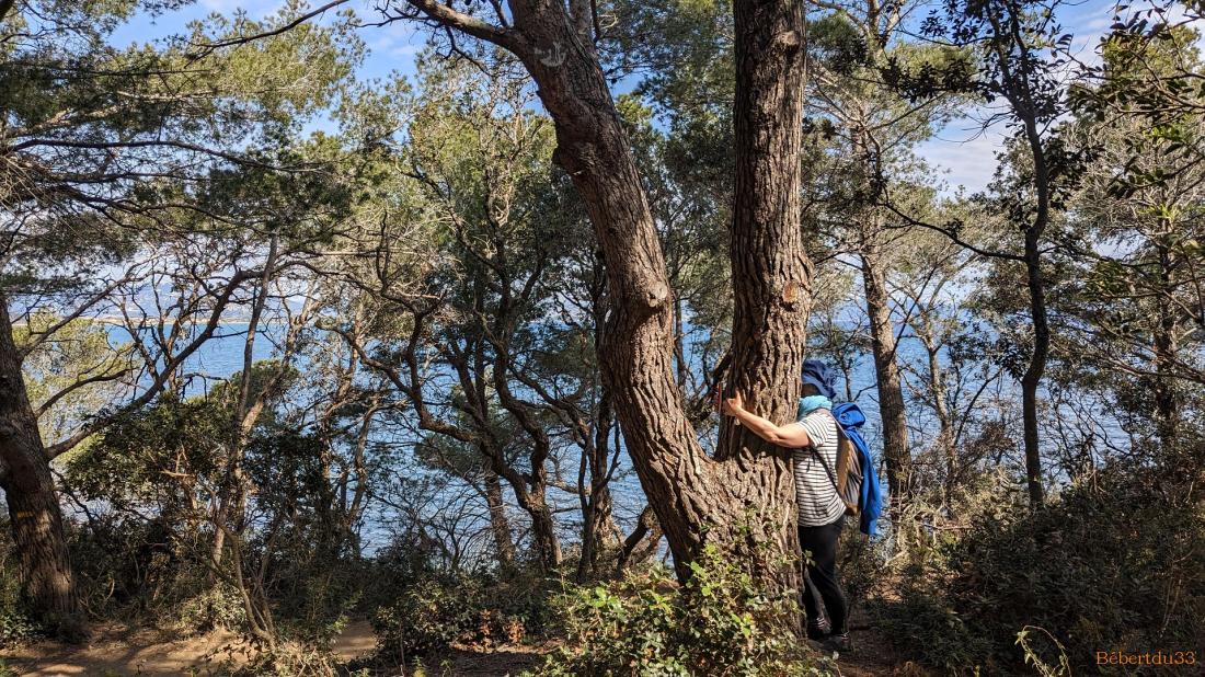 la presqu'île de Giens - 6