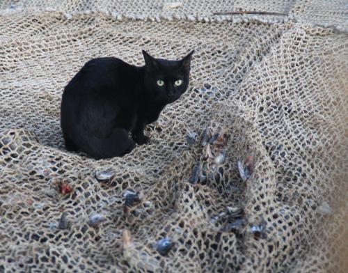 Lundi 20 au dimanche 26 janvier