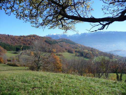 Lundi en une deux trois quatre (ou plus ) photos 