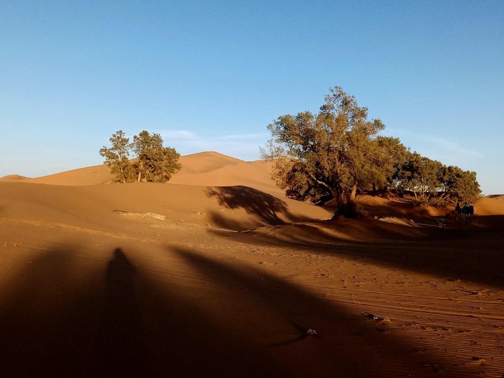 Alnif - Rissani - Merzouga 
