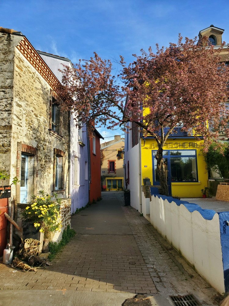 Ruelle