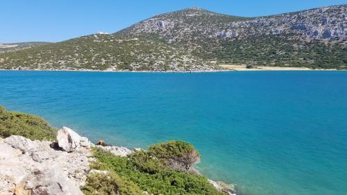 Le regard de la sentinelle