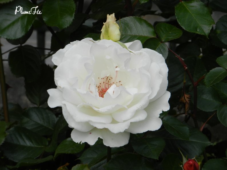 Image002.jpg