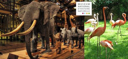Samedi 26 novembre 2016: Sortie culturelle "Muséum national d'histoire naturelle"