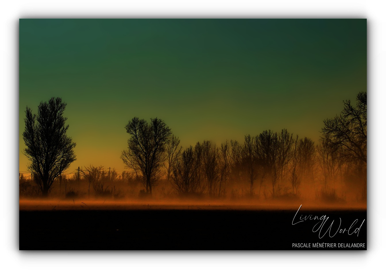 Coucher du soleil en petite Camargue