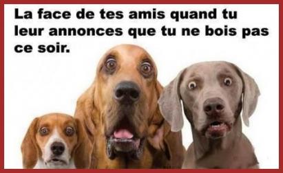 Le Panache.