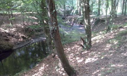 Leverkusen hautnah: Von der Diepentalsperre über den Murbach und die Wupper bis nach Opladen