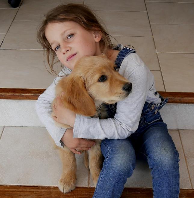 Un nouveau petit chien